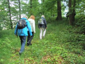 We volgen niet altijd het gebaande pad.