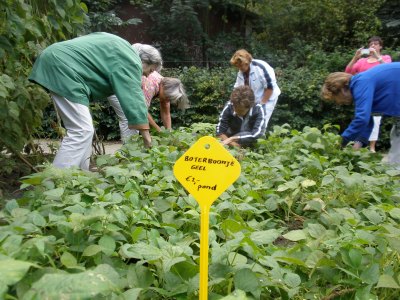 Samen boontjes plukjes schept vriendschap en geeft geborgenheid.