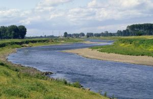 Grensmaas, Maas, Midden-Limburg , Limburg, Nederland, Europa