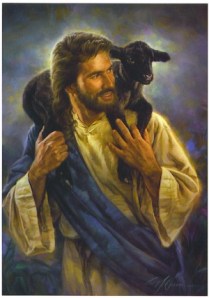 Een goede herder gaat op zoek naar ieder schaap.