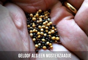 geloof-als-een-mosterdzaadje1