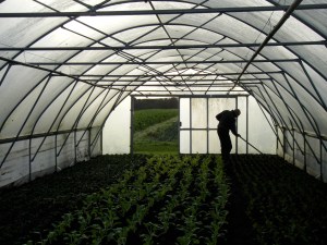 Willem in tunnelkas A8