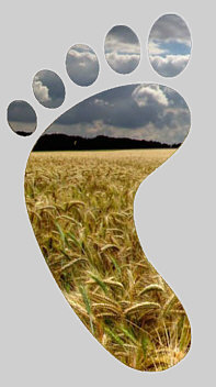 footprint graan