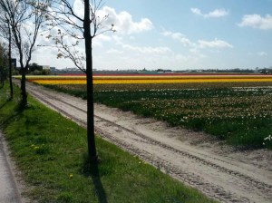 Als ik hier rondfiets denk ik, ondanks al het moois, ook aan al het gif dat wordt gespoten.