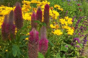 tuinreservaat Boerakker
