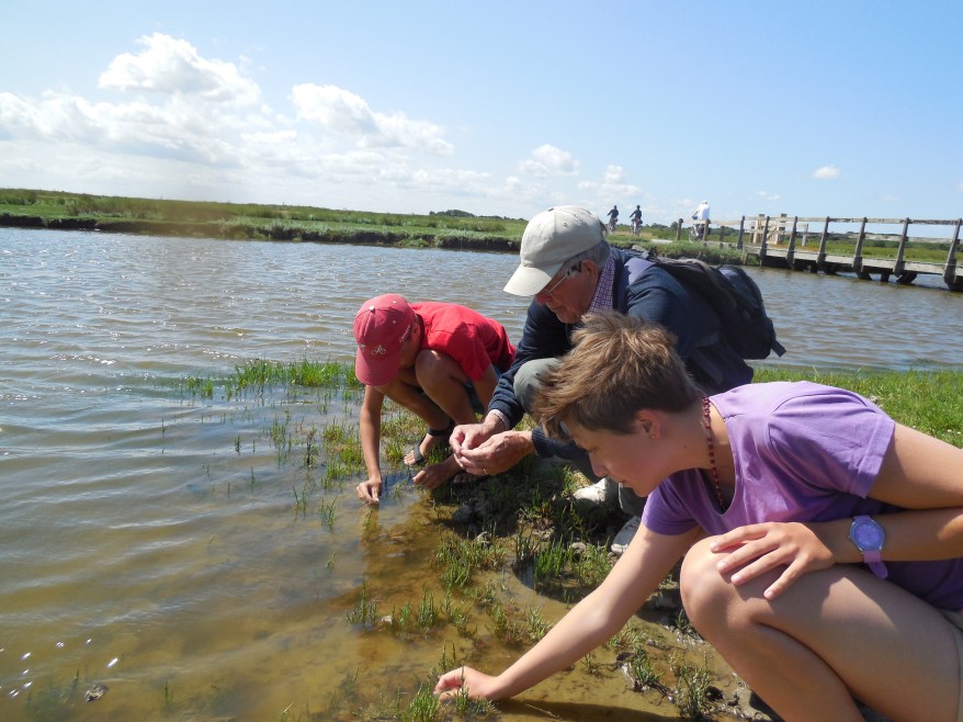 natuurbeleving schier