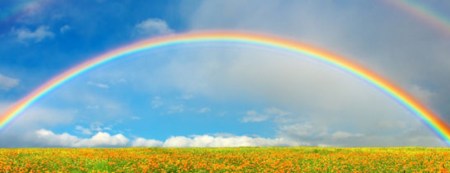 regenboog