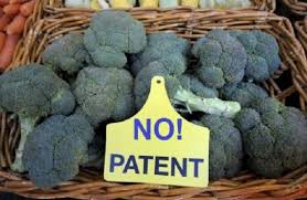 no patent