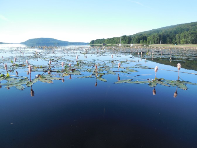 meer met fonteinkruid?