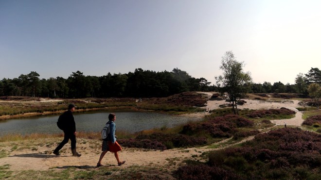 MarjoleinT_Heidestein