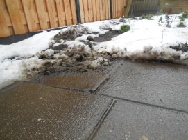 Schrobben met sneeuw