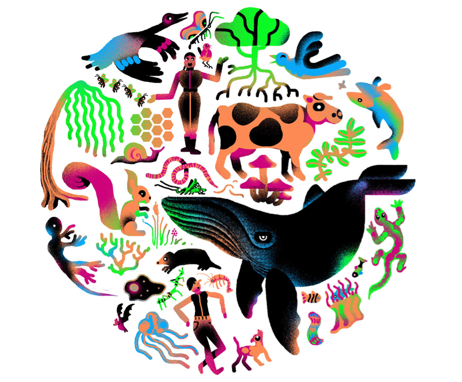 mens in de schepping