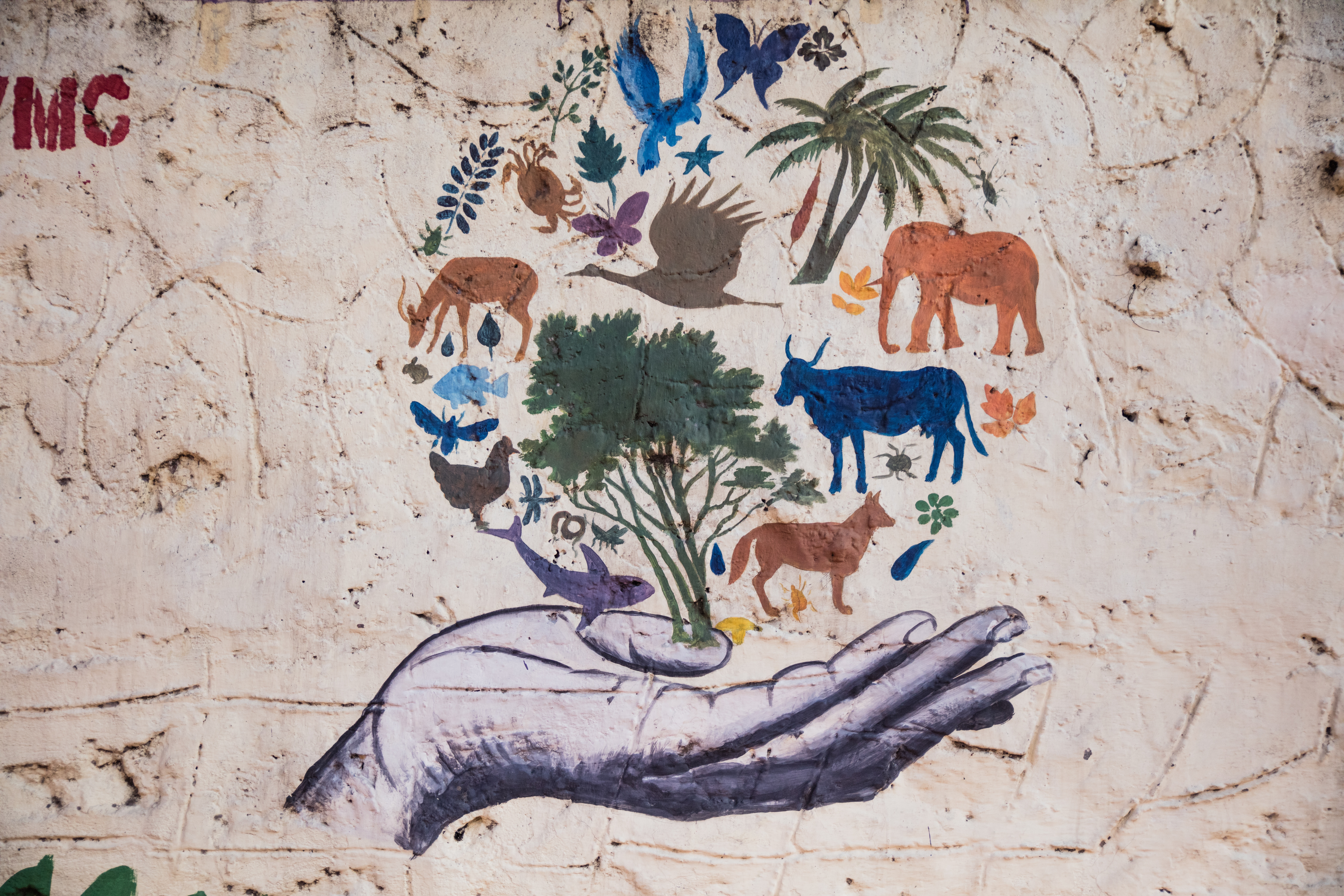 patrick-hendry-1147949-unsplash