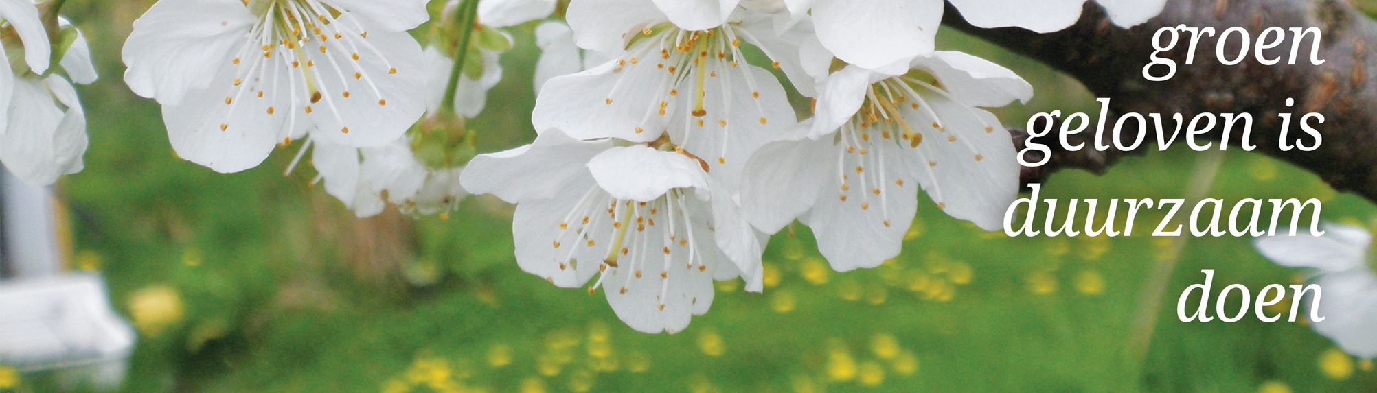 foto met tekst horizontale uitsnede