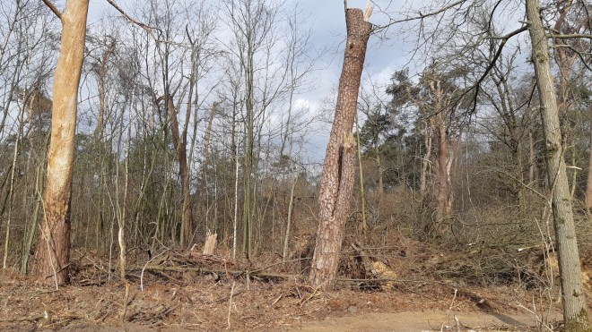 20220312_105450_resized