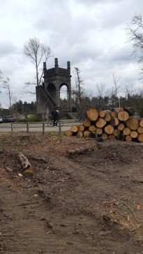 20220312_113409_resized