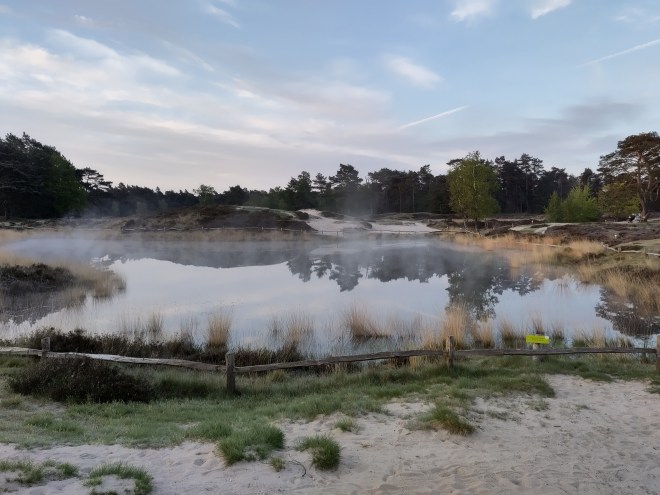 Sprengkop Heidestein in de ochtendnevel